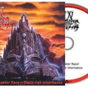 IN FLAMES - The Jester Race + Black Ash Interitance CD