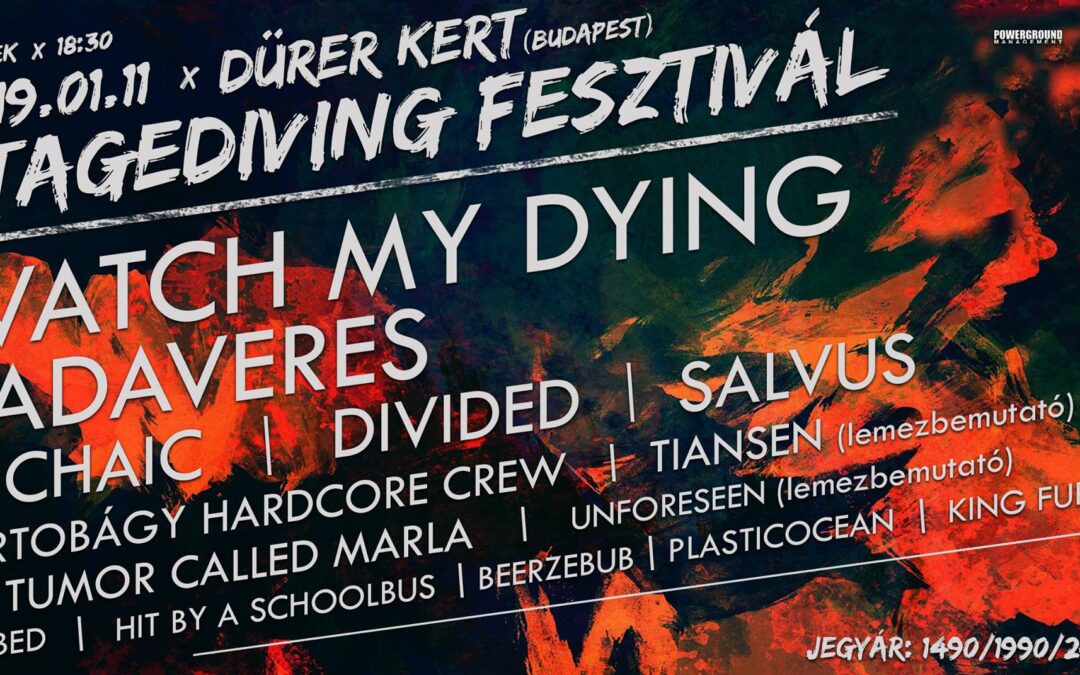 Stagediving Fesztivál-Nagyszabású hazai évindítás a Dürer Kertben!