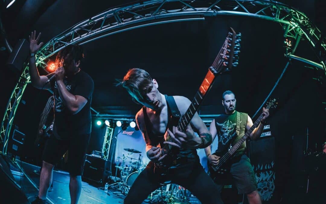 „A főmeder ugyan az, csak a spektrumot szélesítjük folyamatosan” – NEEDLESS