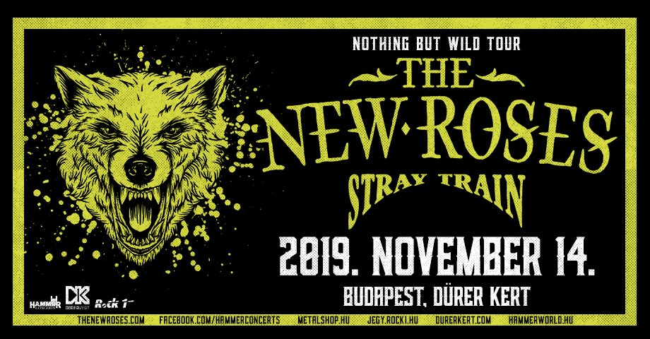 61203978_2842546642426374_4144255952985522176_n