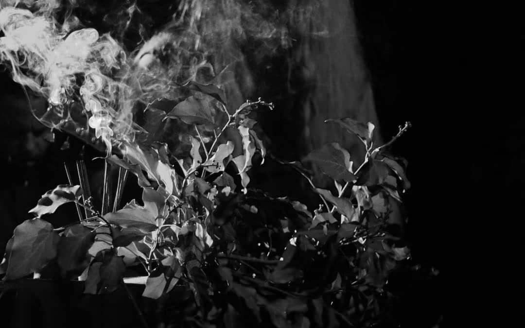 Elterítem csontjaim a sziklák s kövek közé – interjú Dudás Ádámmal