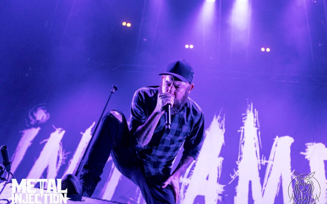 ANDERS FRIDÉN szerint még hátra van a legjobb IN FLAMES lemez