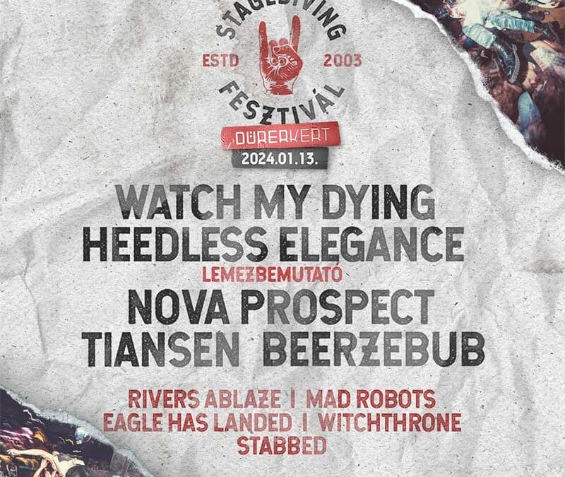 XX. Stagediving Fesztivál – Jubileum a Dürer kertben