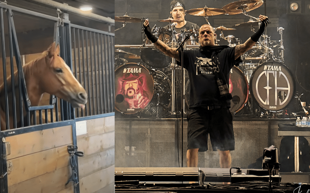 Ez a metalfan ló Slipknotra és Panterára headbangel – a country-t viszont nem szereti