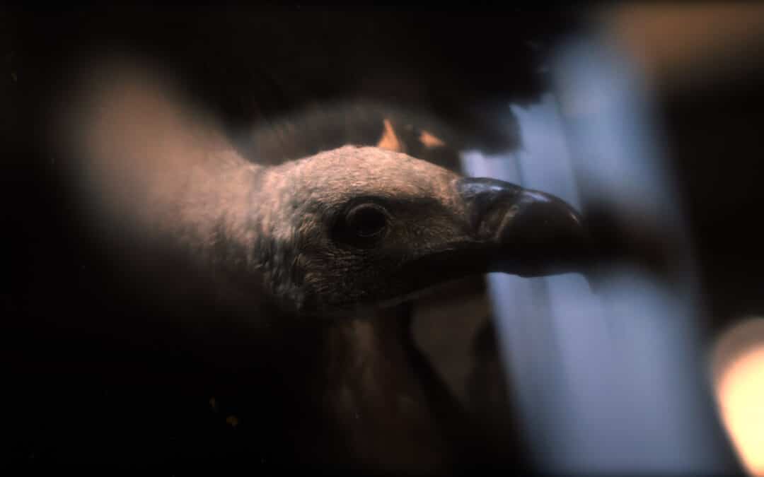 „Kicsit fura, de annyira nem rossz” – ENDRE videoklip premier és interjú